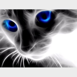 Diamond Painting | Kattenkop "Blue Eyes" | Full | Square | 40x50 cm