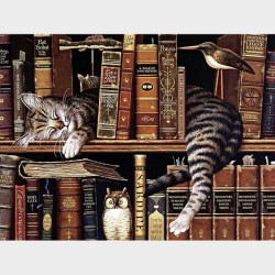 Diamond Painting | "Kat in boekenkast" | Full | Square | 20x25 cm