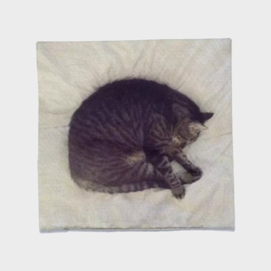 Kussenhoes | Slapende kat