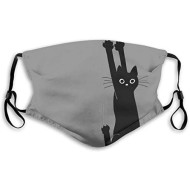 Mondkapje | hangende kat